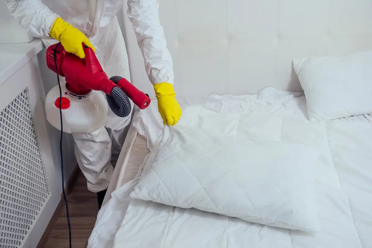 Pest Control Services Delhi | +91 81785 37500